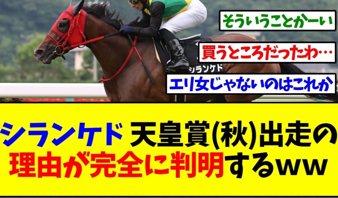 シランケド天皇賞出走の理由、判明ｗｗｗ【反応集】