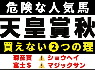 #1974【危険な人気馬 2025　天皇賞秋】ミュージアムマイルなど人気上位４頭の血統と前走の考察 買えない２つの理由 にしちゃんねる 馬Tube