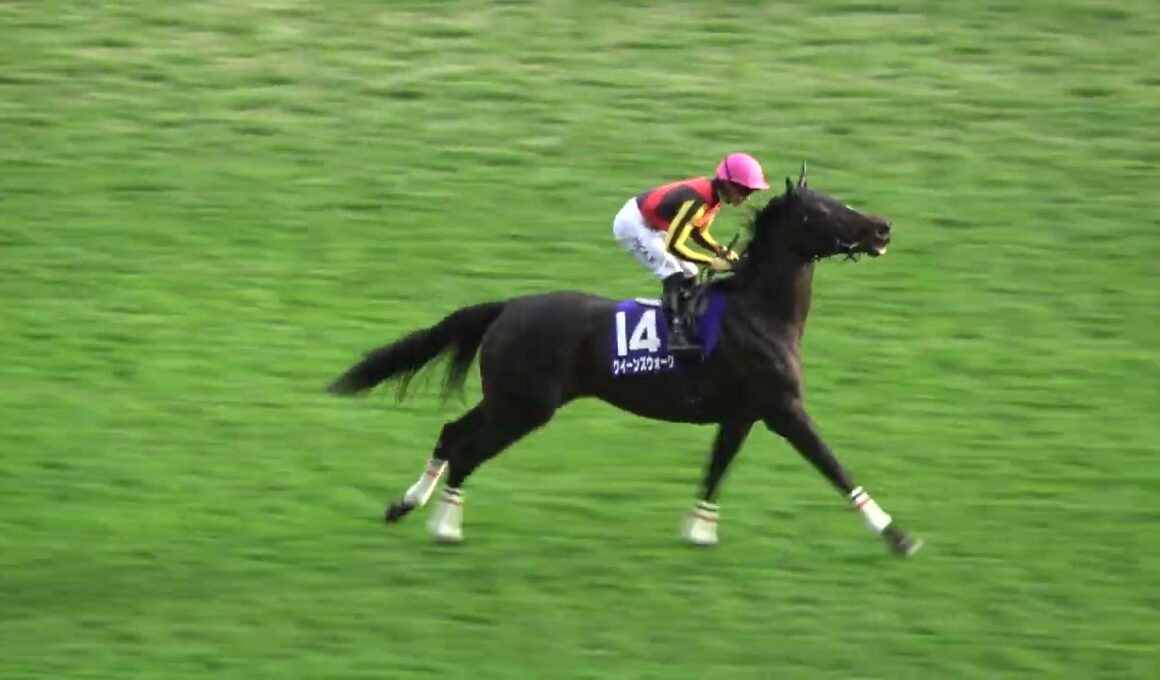 【天皇賞秋2025】本馬場入場時に誘導馬がざわつくと「シランケド」のアナウンスに場内（笑） 現地映像 ⑦マスカレードボール