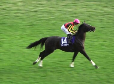 【天皇賞秋2025】本馬場入場時に誘導馬がざわつくと「シランケド」のアナウンスに場内（笑） 現地映像 ⑦マスカレードボール