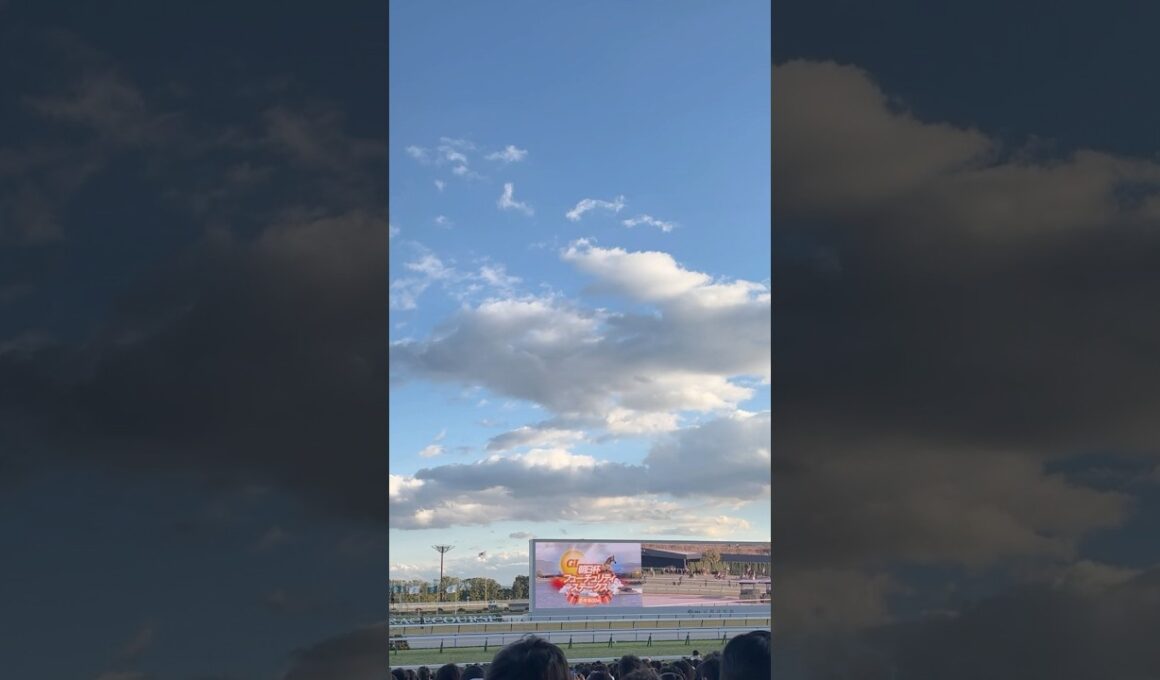 【朝日杯FS2024】朝日杯フューチュリティステークス(G1)ファンファーレ！！(朝日杯FS史上初の京都開催)#Shorts