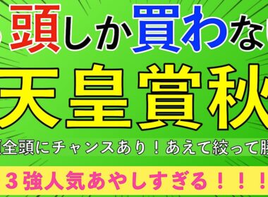 【2025 天皇賞・秋】全頭主役級！？ ３強は低評価＆穴馬本命で挑む！