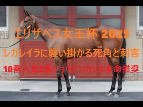 エリザベス女王杯 2025 レガレイラに襲い掛かる死角と刺客 １０番人気２着ショウナンカリス本命推奨