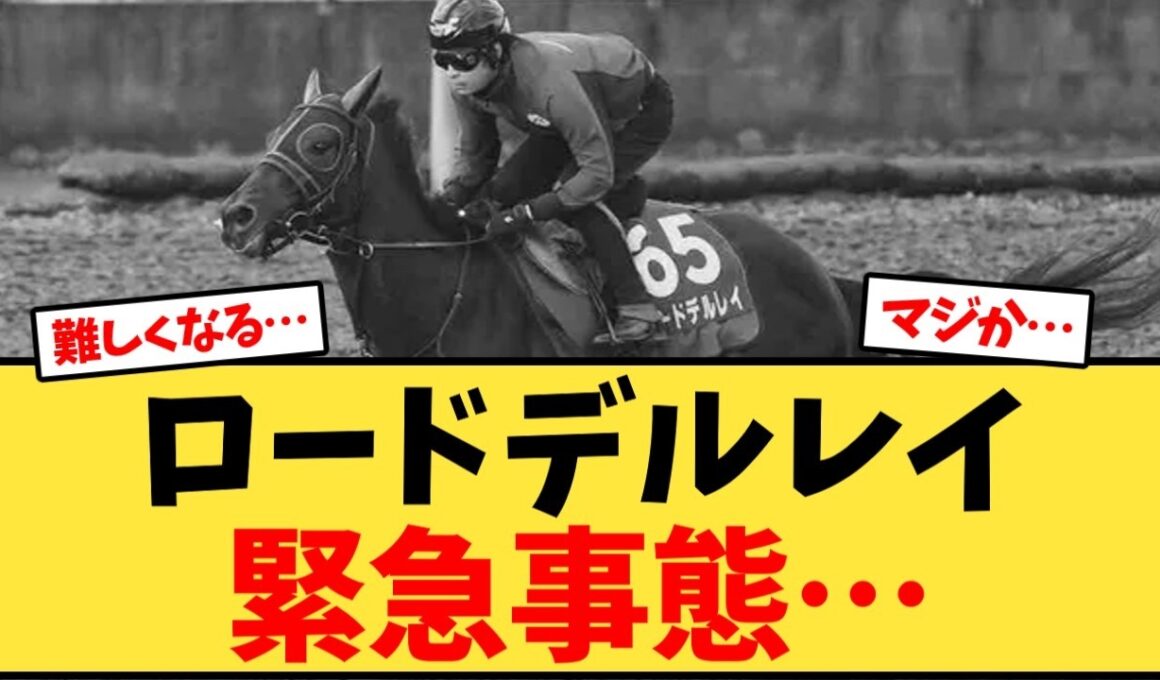天皇賞秋 ロードデルレイ、緊急事態にファン「えっ…」【競馬反応集】
