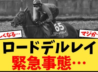 天皇賞秋 ロードデルレイ、緊急事態にファン「えっ…」【競馬反応集】