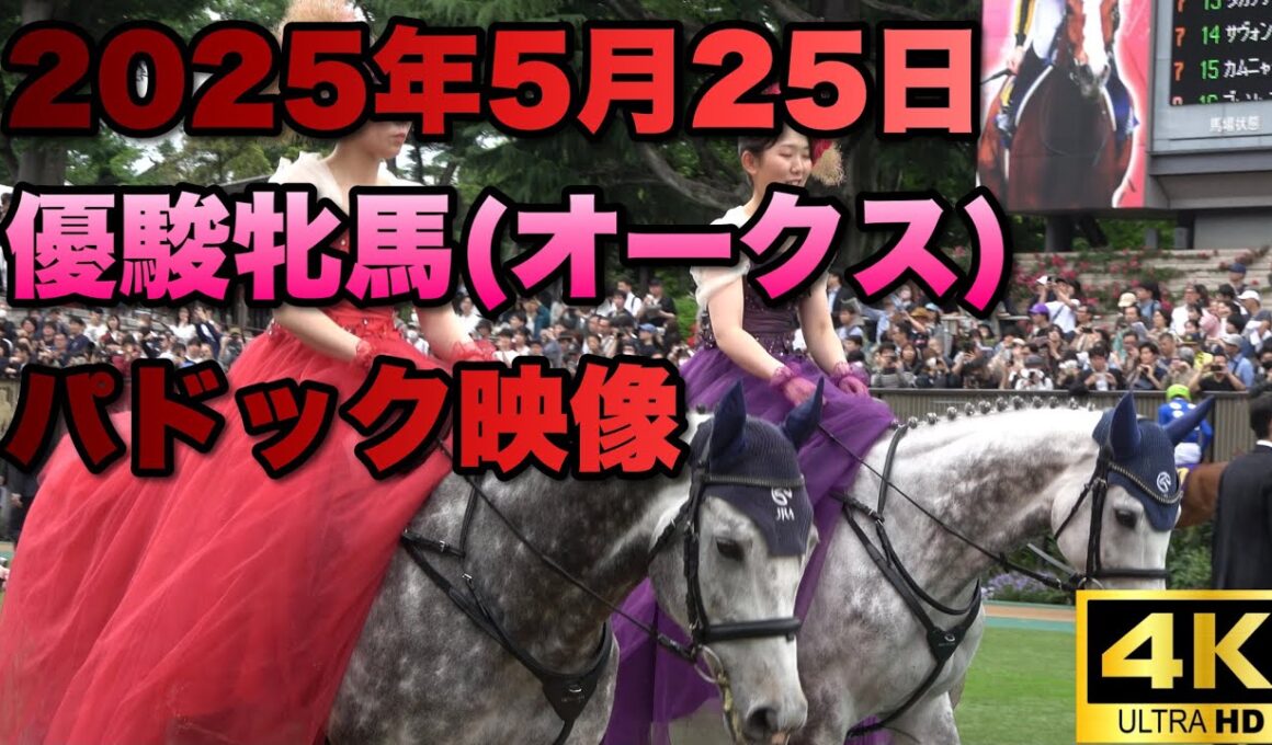 【4K動画】2025年優駿牝馬(オークス)パドック【カムニャック】