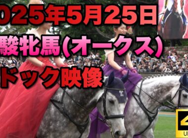 【4K動画】2025年優駿牝馬(オークス)パドック【カムニャック】