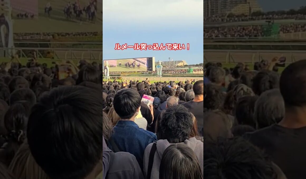 天皇賞秋2025直線の攻防！マスカレードボールおめでとう！