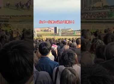 天皇賞秋2025直線の攻防！マスカレードボールおめでとう！