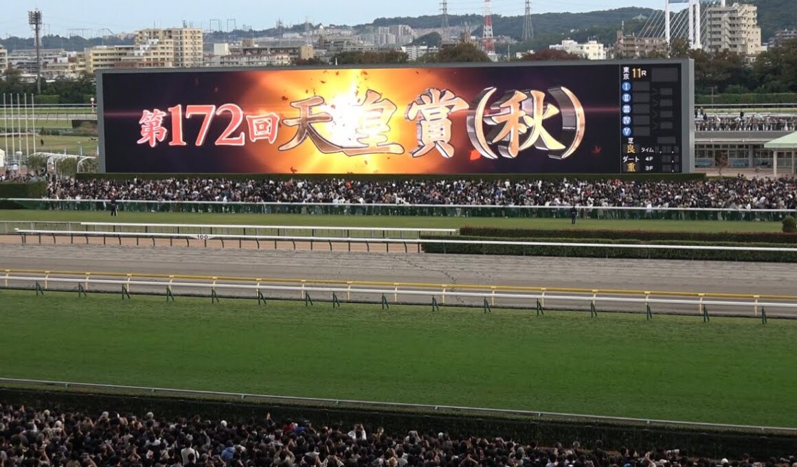【天皇賞秋2025】レース前のカッコいい煽りV〜ファンファーレ生演奏【現地】