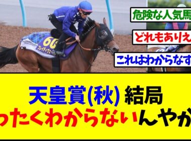 天皇賞秋結局のところ全くわからんｗｗｗ【反応集】