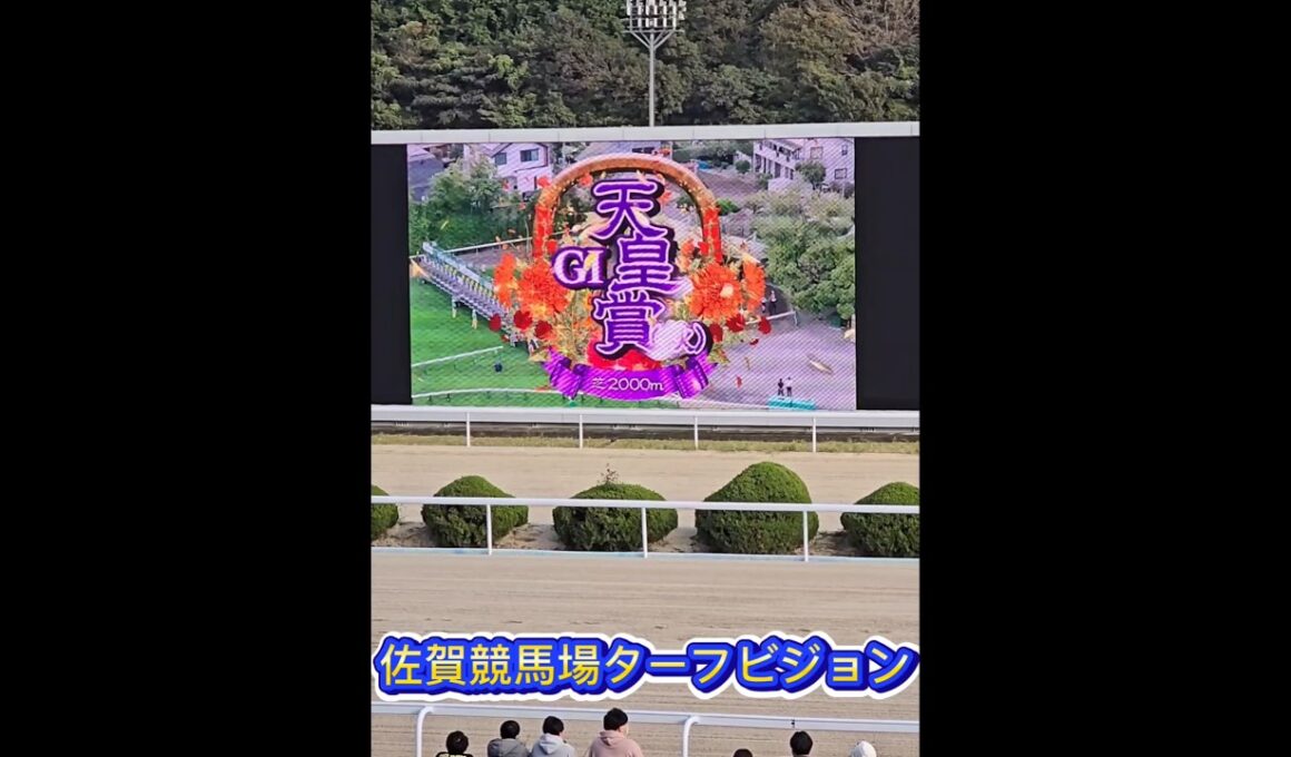 #第172回天皇賞(秋)#東京競馬場#佐賀競馬場ターフビジョン#G1レース#勝負#馬券#マスカレードボール#ルメール騎手 2025/11/2