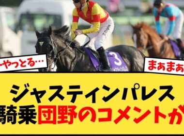 【天皇賞秋】ジャスティンパレス、初騎乗団野騎手レース後のコメントが…【競馬反応集】