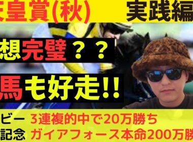 【完璧的中？】天皇賞(秋)2025実践編