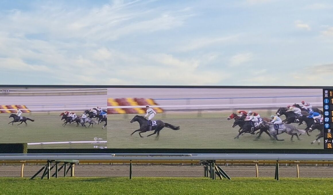 2024/11/17 京都11R マイルCS in 東京競馬場 1着ソウルラッシュ