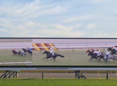 2024/11/17 京都11R マイルCS in 東京競馬場 1着ソウルラッシュ