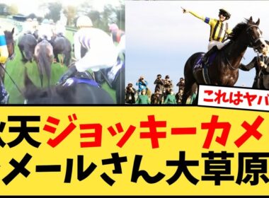【天皇賞秋】ジョッキーカメラのルメールさん大草原w【競馬反応集】
