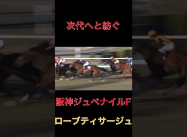 次代へと紡ぐローブティサージュ【阪神JF】#競馬#阪神ジュベナイルフィリーズ