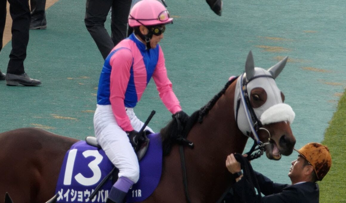 【武豊】騎乗した瞬間、楽しそうに笑うメイショウタバル 天皇賞・秋パドック