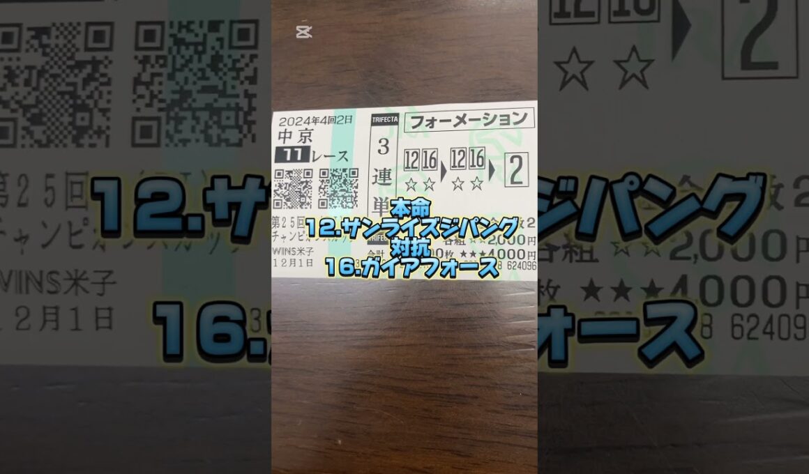 明日メインG1チャンピオンズカップ馬券＋本日メインステイヤーズS芝3600m馬券2024.11.30-12.1