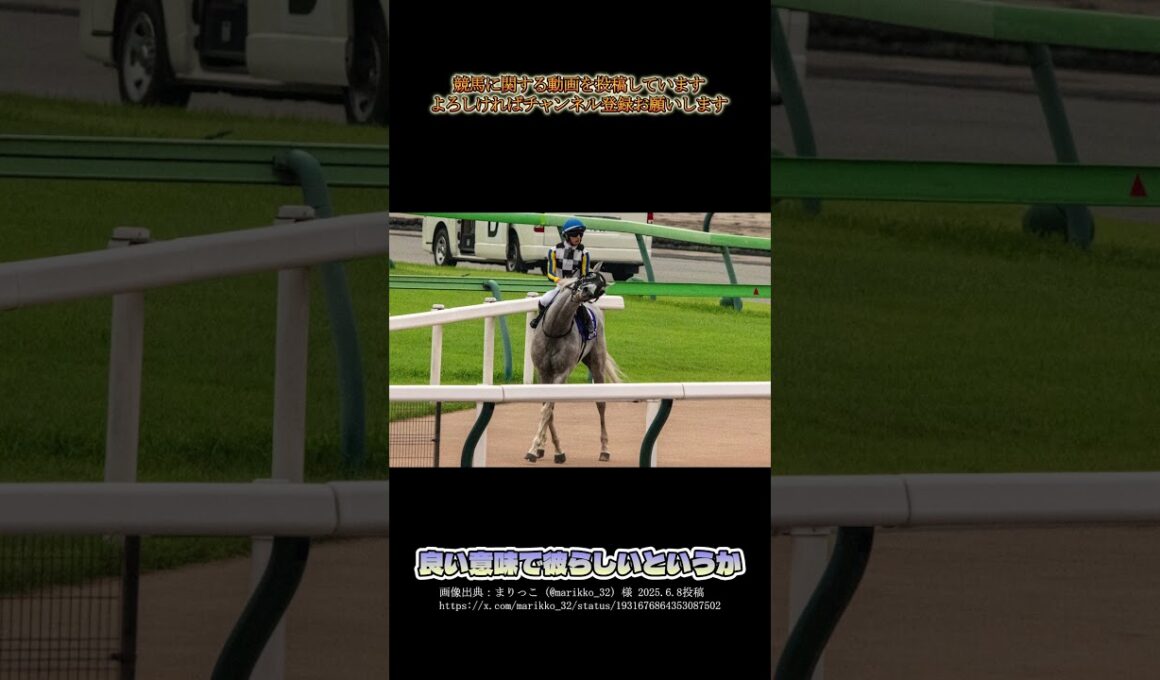 【第75回安田記念】ガイアフォース2着の激走！ #shorts #競馬 #安田記念 #ガイアフォース #ジャンタルマンタル #ソウルラッシュ #吉村誠之助 #シェケナ