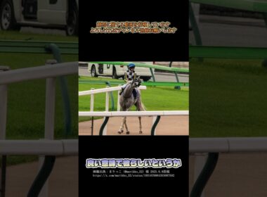 【第75回安田記念】ガイアフォース2着の激走！ #shorts #競馬 #安田記念 #ガイアフォース #ジャンタルマンタル #ソウルラッシュ #吉村誠之助 #シェケナ