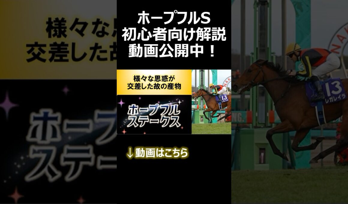 ホープフルステークス【2024年度版】解説動画告知 #JRA #競馬