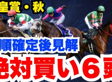【天皇賞秋】追い切りで最高の動きだった人気薄！枠出てからの現状買いの６頭！