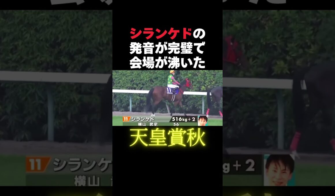 シランケドの発音素晴らしいw #競馬 #天皇賞秋