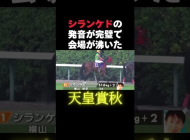 シランケドの発音素晴らしいw #競馬 #天皇賞秋