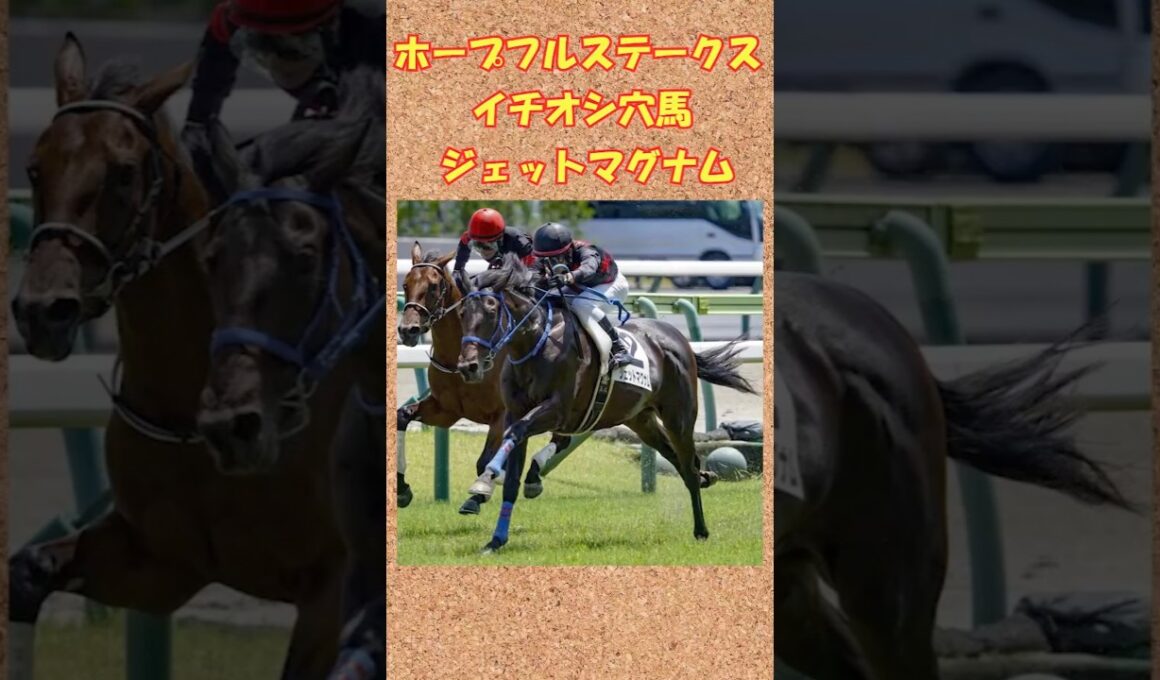 ホープフルステークスイチオシ穴馬ジェットマグナム！#競馬 #競馬予想 #ジェットマグナム #ホープフルステークス