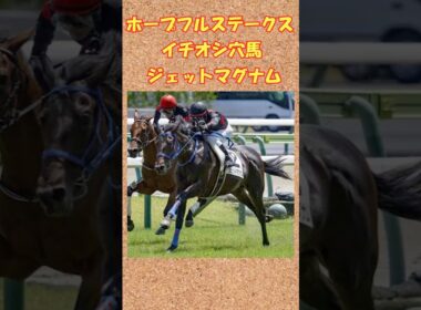 ホープフルステークスイチオシ穴馬ジェットマグナム！#競馬 #競馬予想 #ジェットマグナム #ホープフルステークス
