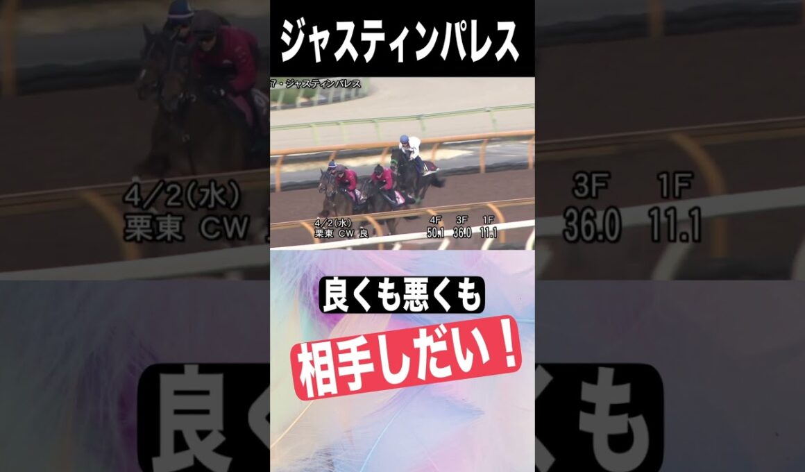 大阪杯2025　元厩務員　#大阪杯
