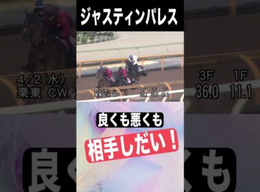大阪杯2025　元厩務員　#大阪杯