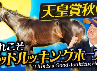 【天皇賞・秋 2025】菊花賞は自信の◎エネルジコが快勝！高速馬場＆瞬発力勝負＋叩き上積み大のグッドルッキングホースで勝負！【競馬予想】