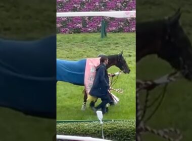 第85回桜花賞🌸🏇🌸優勝🏆エンブロイダリーさん(2025/04/13)阪神競馬場