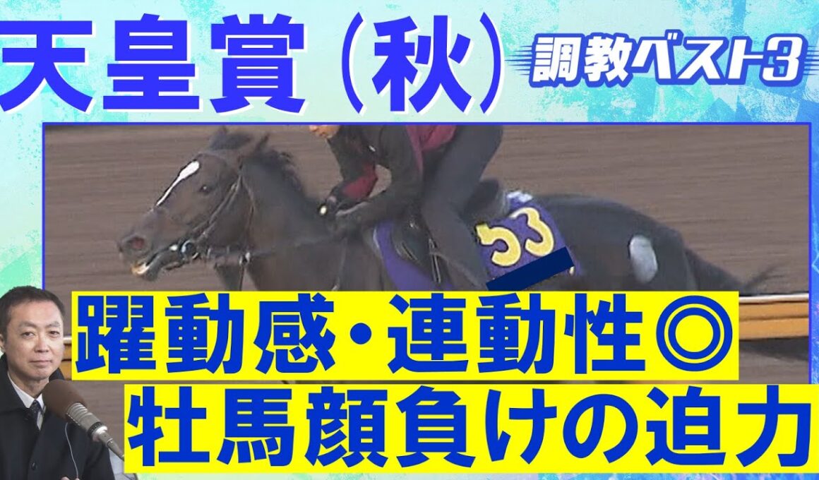 【１７週連続調教診断上位馬が激走中！】マスカレードボール、ミュージアムマイル、タスティエーラ・・・競馬エイト・高橋賢司トラックマンの調教解説＜天皇賞(秋)ＧⅠ＞