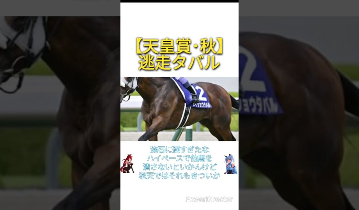 【天皇賞･秋2025】逃走メイショウタバル　#競馬