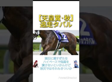 【天皇賞･秋2025】逃走メイショウタバル　#競馬