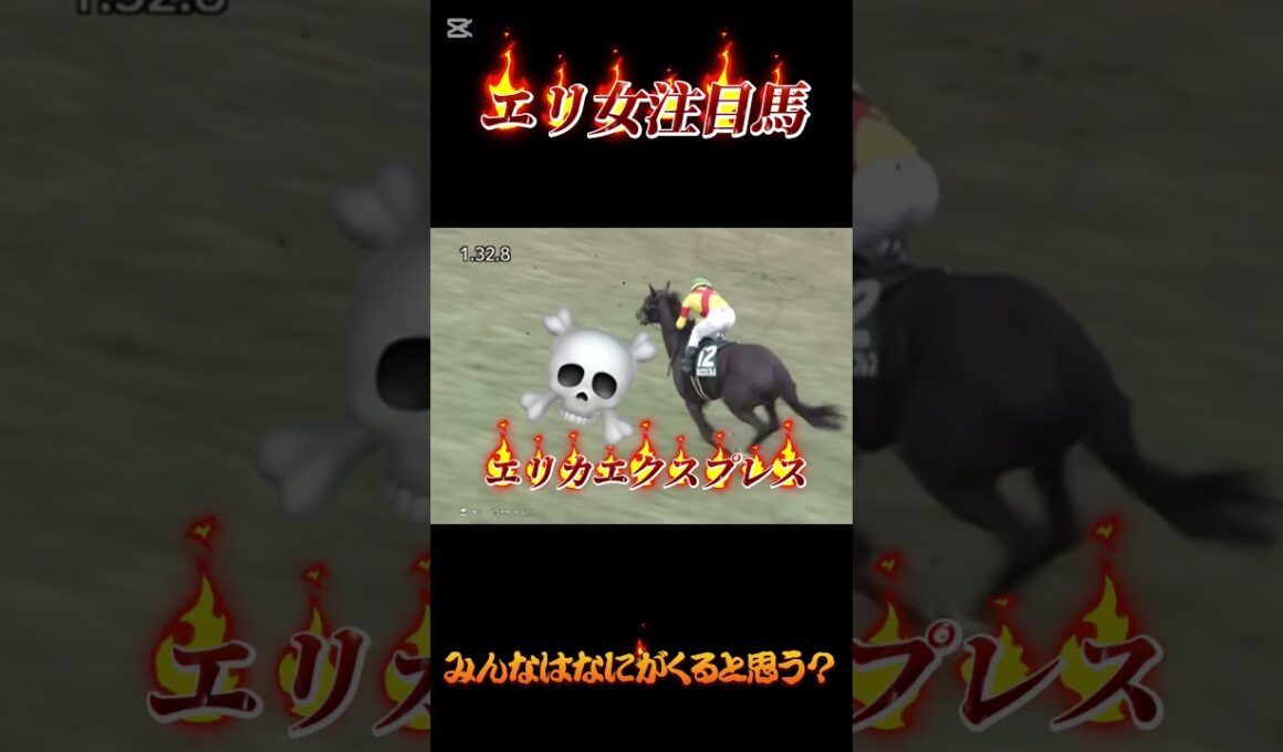 [エリザベス女王杯]注目馬！全員名馬すぎる#エリザベス女王杯