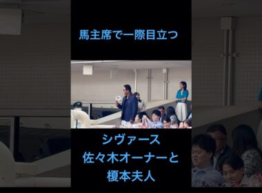 一際目立つ大魔神と加奈子夫人(しらさぎステークス2025 シヴァース) #shorts #佐々木主浩 #榎本加奈子 #競馬 #ヴィブロス