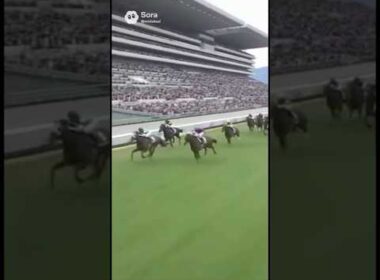 #エリザベス女王杯 #エリカエクスプレス #ラヴァンダ #レガレイラ #競馬予想 #G1 #牝馬 #京都競馬場