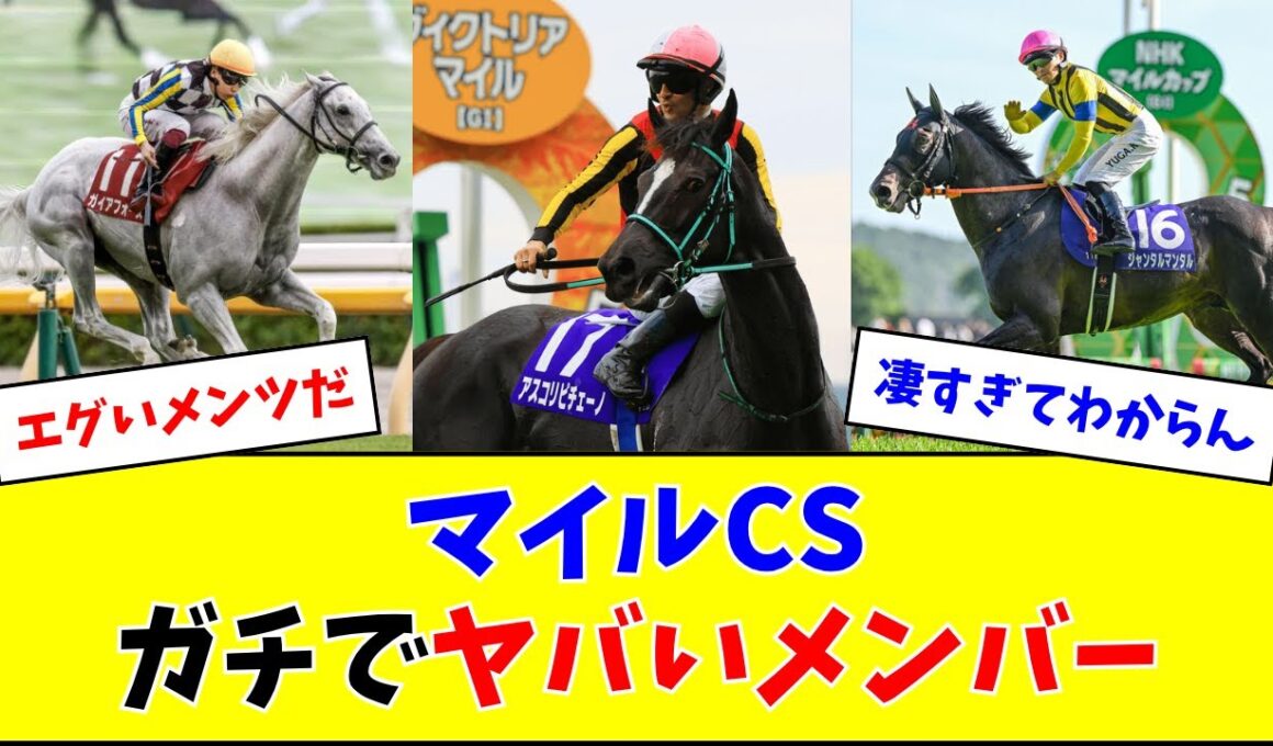 マイルチャンピオンシップ、豪華メンバー勢揃いでヤバいw w w