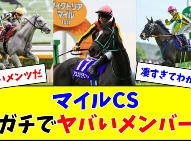 マイルチャンピオンシップ、豪華メンバー勢揃いでヤバいw w w