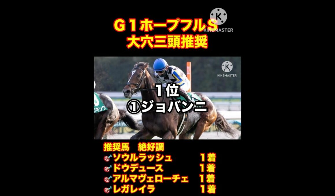【ホープフルステークス】大穴三頭で勝負だ！クラシックはここから始まる。#競馬#ホープフルステークス#クロワデュノール#京都金杯 #中山金杯