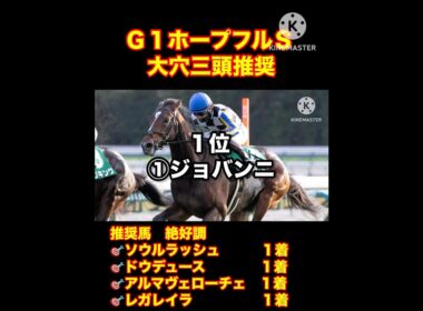 【ホープフルステークス】大穴三頭で勝負だ！クラシックはここから始まる。#競馬#ホープフルステークス#クロワデュノール#京都金杯 #中山金杯