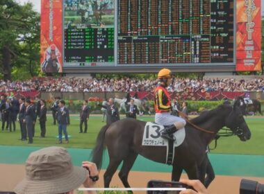第92回東京優駿（日本ダービー）　 パドックの入場から退場まで