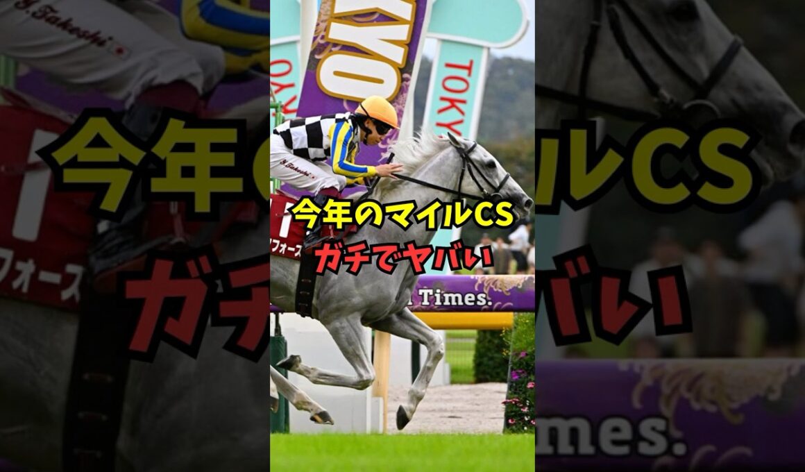 マイルチャンピオンシップ、豪華メンバー勢揃いでヤバいw w w