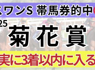【菊花賞2025 予想】全頭診断と絶対買いたい馬3頭！