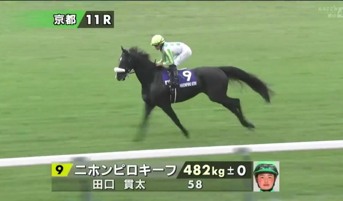 【本馬場入場】第41回マイルチャンピオンシップ(GⅠ) 2024/11/17